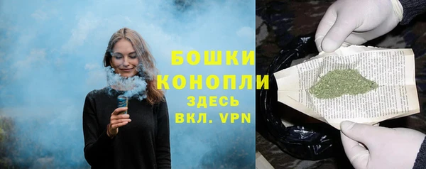 spice Богородск
