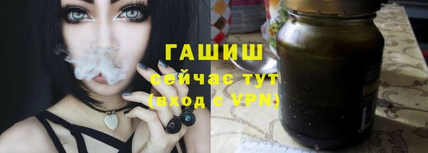 ECSTASY Белокуриха
