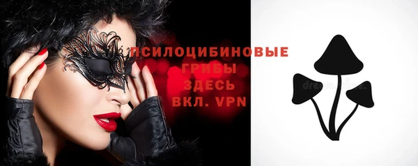 шишки Уссурийск