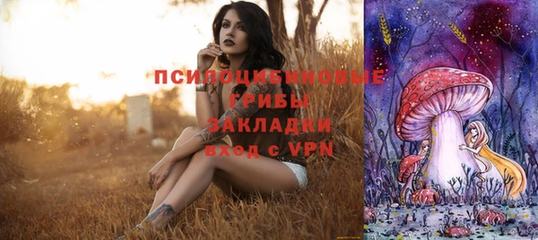 apvp Беломорск